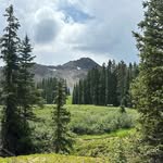 Daisy Fields - @jodimneil - Instagram