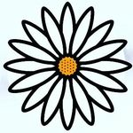 Daisy Fields 🌼🌿 - @dazyfields - Instagram