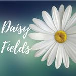 Daisy Fields Store - @daisyfieldstore - Instagram