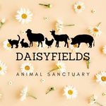 Daisyfields animal sanctuary vzw - @daisyfields_sanctuary - Instagram
