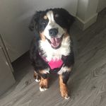 Daisy Fleming - @daisel_washington - Instagram