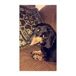 Daisy Fleming - @kyliesdog2 - Instagram