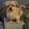 Daisy Fleming - @daisy.fleming34 - TikTok