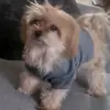 Lisa - @daisyfleming22 - TikTok