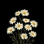 @_._daisy_flower - Instagram