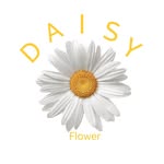 Daisy Flower - @_0daisyflower0_ - Instagram