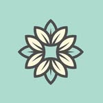 Daisy Flower - @daisyflower.eg - Instagram