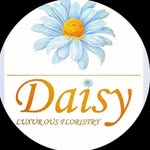 Daisy Flower - @daisy.flower00 - Instagram
