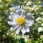 daisy flower ˖ ࣪⊹🌼 - @daisyflower_tejidos - Instagram