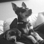 Daisy & Floyd - @daisyandfloyd - Instagram