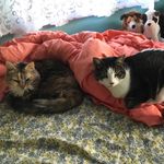 Daisy/Floyd - @floyd._.daisy - Instagram