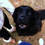 Maggie Newsome - @foley.daisy_ - Instagram