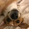 daisyfoote108 - @daisyfoote108 - TikTok