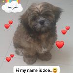 Daisy Forbes - @daisy.forbes.5492 - Instagram