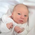 Daisy Foster - @daisyfoster4042 - Instagram