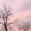 daisyfoster32 - @daisyfoster32 - TikTok