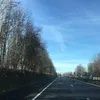 daisyfoster - @_daisyfoster - TikTok