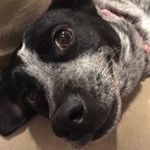 Daisy Frank - @daisy_frank3 - Instagram