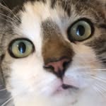 Daisy Frank - @daisy.frank.186 - Instagram
