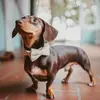 Frank & Daisy - @frank_daisy_hotdog - TikTok