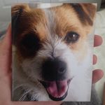 Daisy Franks 🐶 - @daisyfranks - Instagram