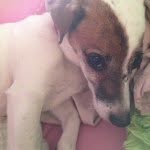 daisy_frederick - @daisy_frederick - Instagram