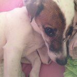 daisy_frederick - @daisy_frederick - Instagram
