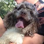 Daisy Frederickson - @daisy.mae.frederickson - Instagram