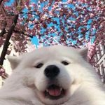 Daisy Freeman - @dada_and_daisy - Instagram