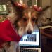 Daisy Friedman - Facebook