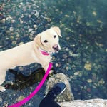 Daisy Fuller - @daisy_mae_fuller - Instagram
