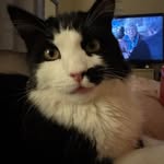 Daisy Fuller - @daisyfuller_ - Instagram