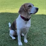 DAISY FULLER - @daisy.fuller1 - Instagram