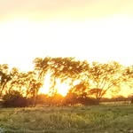 daisyfunk - @daisyfunk73 - Instagram