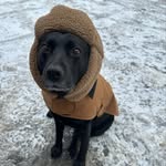 @daisyfunkingpowers - Instagram