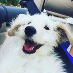 Daisy Gaines - @daisy_gaines22 - Instagram