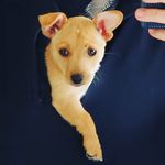 Daisy Gaines - @theadventuresofdaisygaines - Instagram