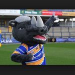 .daisy.gale. - @yorkshirerhinos - Instagram