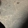 daisygamble1 - @daisygamble1 - TikTok