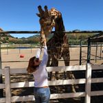 Melinda - @daisygamble - Instagram