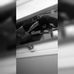 Daisy Gardea - Facebook