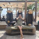 Daisy Gee - @daisyseis - Instagram