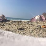 Daisy Giles - @daisygbfernandez - Instagram