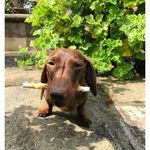 Daisy Giles - @daisygiles771 - Instagram