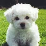 Daisy hanley - @daisyhanley - Instagram