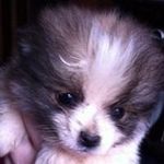 Daisy Hansen - @msdaisy99 - Instagram