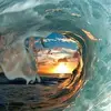 daisyhansen31 - @daisyhansen31 - TikTok
