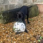 Daisy hanson - @daisy.x.hanson - Instagram