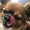 Daisy Harris - @daisyharris - TikTok