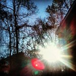 Daisy Harvey - @hommonene - Instagram